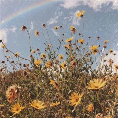 万博体育APP网址