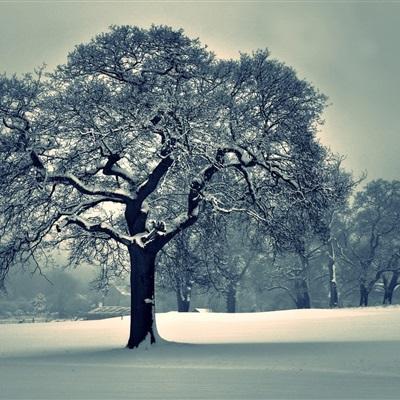 双博体育娱乐线上