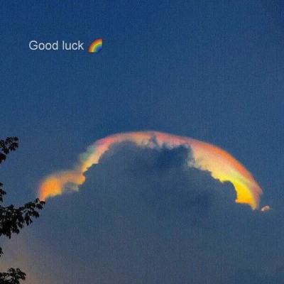 bob综合app官方下载