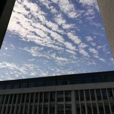 365体育官方唯一入口手机app下载